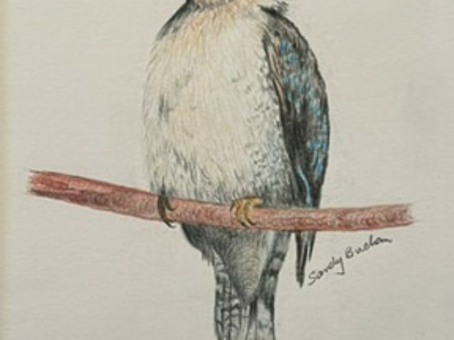 easter_exhibiton_2024_04 coloured pencils colored art for sale