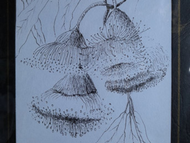 easter_exhibiton_2024_05 pen and wash art for sale