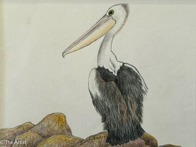 easter_exhibiton_2024_06 coloured pencils colored art for sale