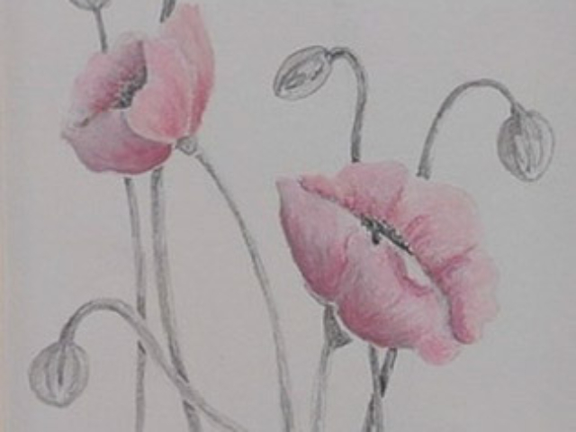 easter_exhibiton_2024_26 coloured pencil color for sale