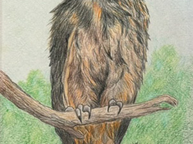 easter_exhibiton_2024_29 coloured pencil colored art for sale