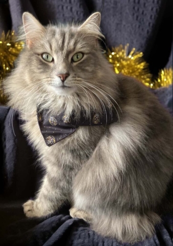 Diamond_53rd_Exhibition_01