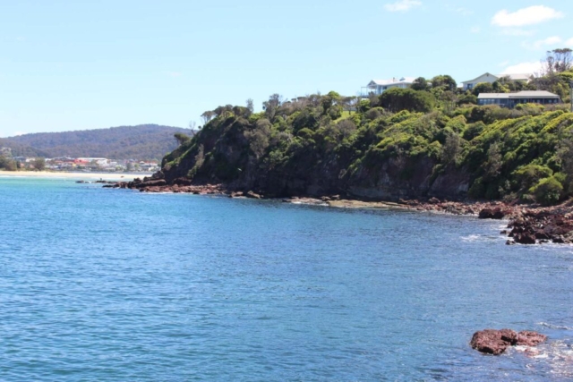 Diamond Birthday 53rd Annual Exhibition