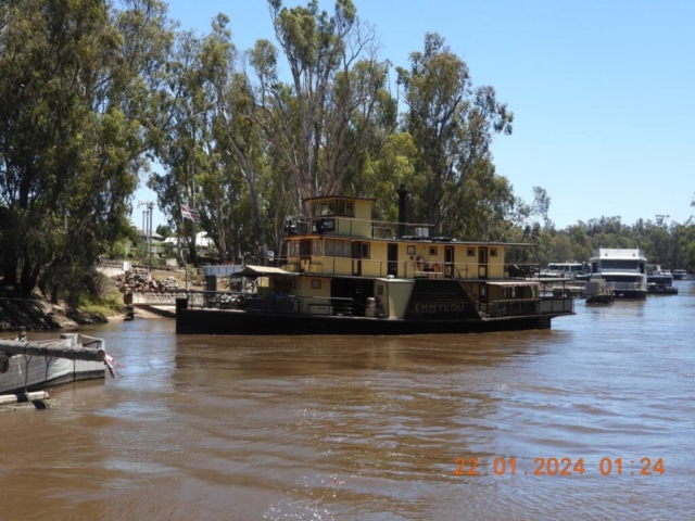 Diamond Birthday 53rd Annual Exhibition