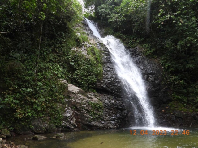 Diamond Birthday 53rd Annual Exhibition