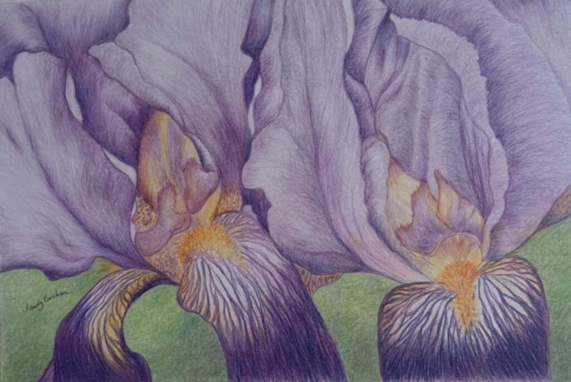 Diamond Birthday 53rd Annual Exhibition