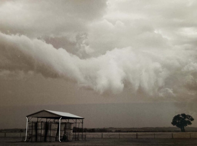 Diamond Birthday 53rd Annual Exhibition