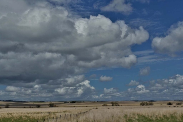 Diamond Birthday 53rd Annual Exhibition