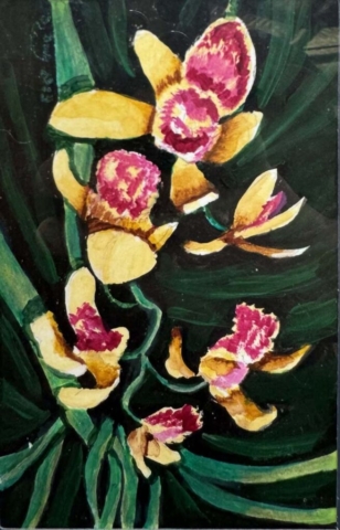 Diamond Birthday 53rd Annual Exhibition