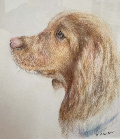 Diamond Birthday 53rd Annual Exhibition