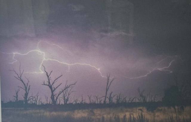 Diamond Birthday 53rd Annual Exhibition