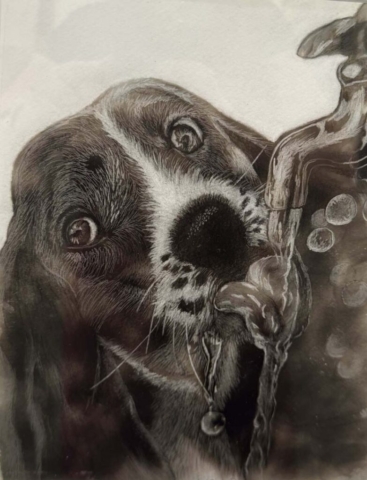 Diamond Birthday 53rd Annual Exhibition