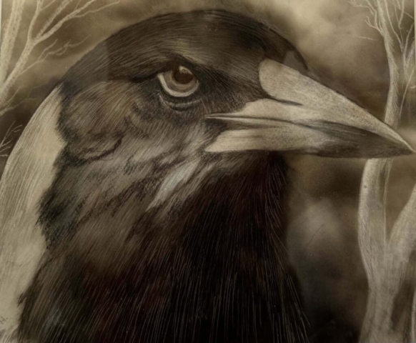 Diamond Birthday 53rd Annual Exhibition