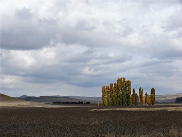 Diamond Birthday 53rd Annual Exhibition