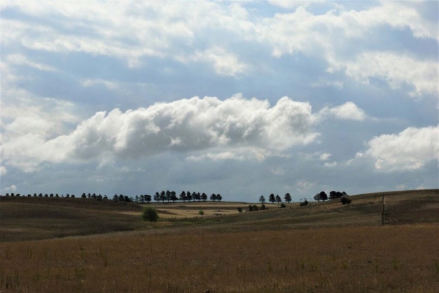 Diamond Birthday 53rd Annual Exhibition