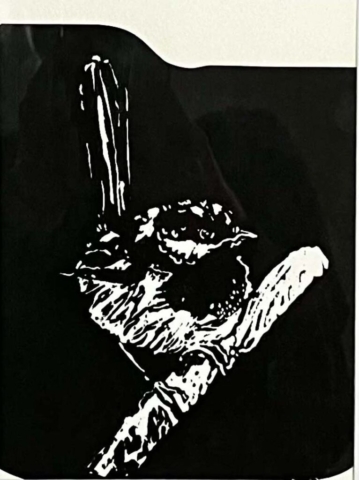 Diamond Birthday 53rd Annual Exhibition