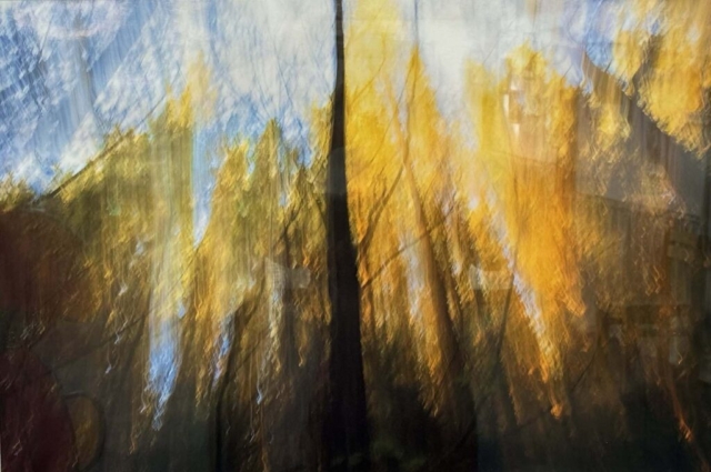 Diamond Birthday 53rd Annual Exhibition