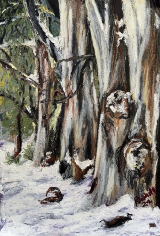 Diamond Birthday 53rd Annual Exhibition