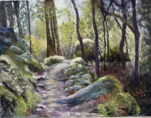 Diamond Birthday 53rd Annual Exhibition