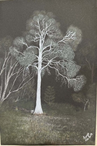 Diamond Birthday 53rd Annual Exhibition