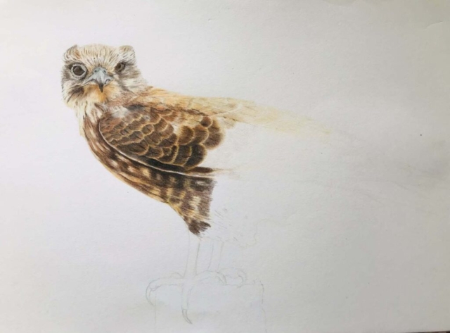 Diamond Birthday 53rd Annual Exhibition